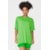VERDE ECCO