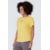 AMARELO ARARAJUBA
