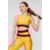 AMARELO MEL